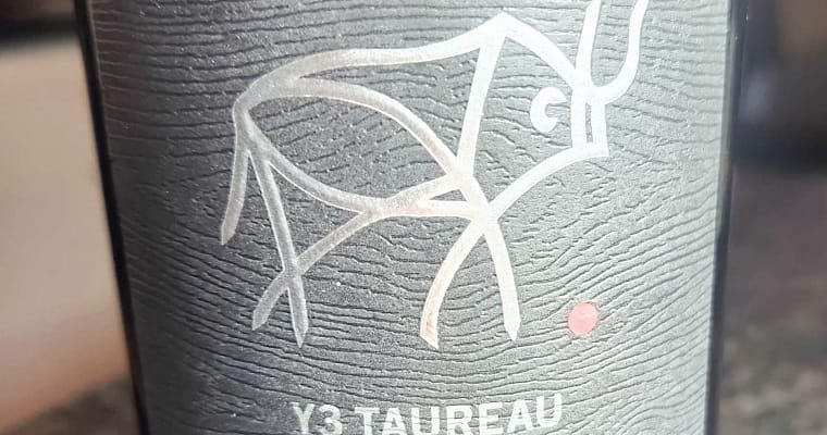 Y3 Taureau